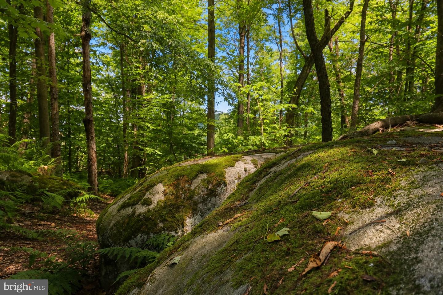 Lot 100 Deep Creek Highlands Rd Property Photo 41