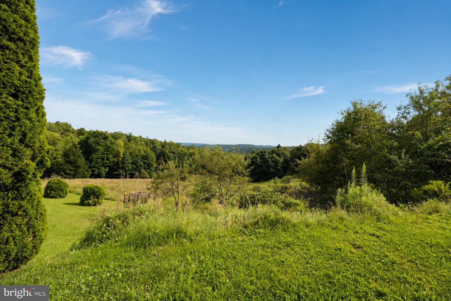 2724 Dry Run Rd Property Photo 42