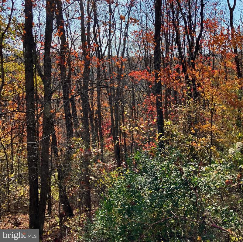 769 Myers Rd Property Photo 9