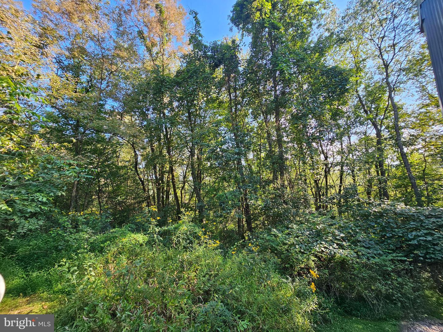 769 Myers Rd Property Photo 55