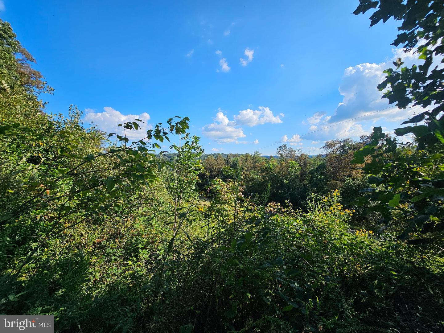 770 Myers Rd Property Photo 1
