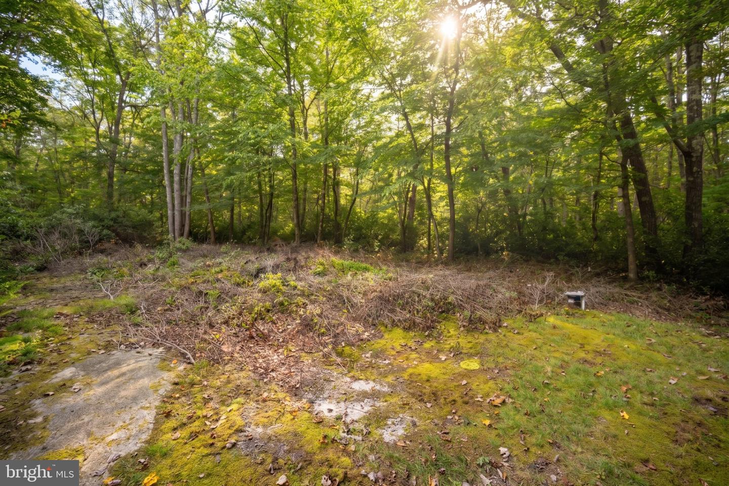 252 Racoon Dr Property Photo 41