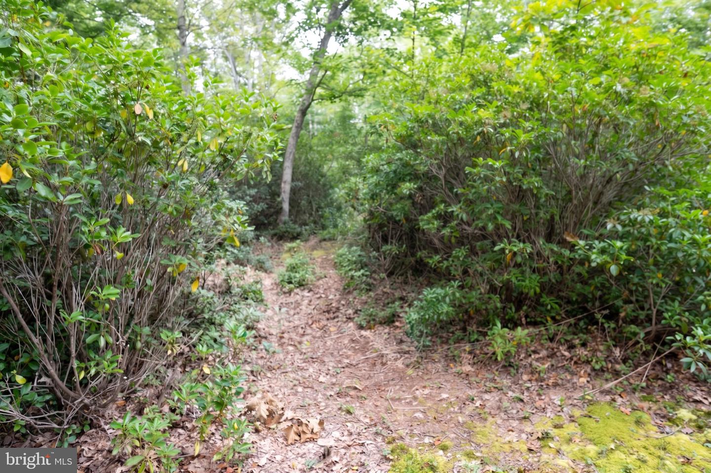 252 Racoon Dr Property Photo 45