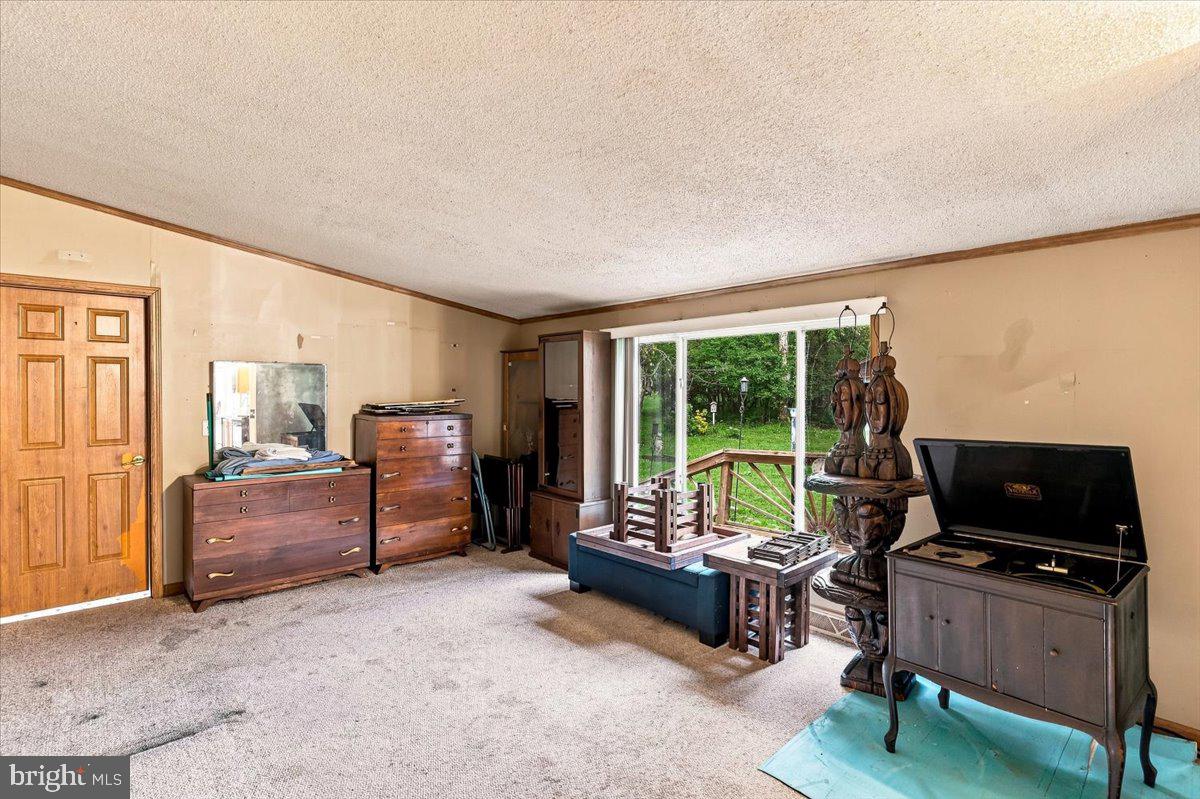 586 Bray School Rd Property Photo 22