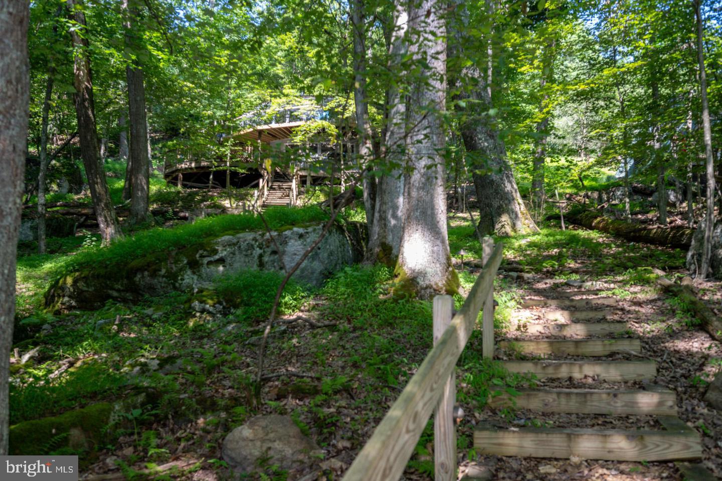 2849 Shingle Camp Rd Property Photo 2