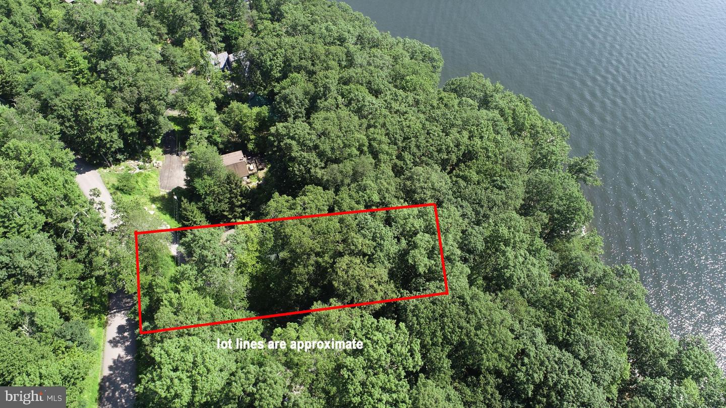 2849 Shingle Camp Rd Property Photo 6