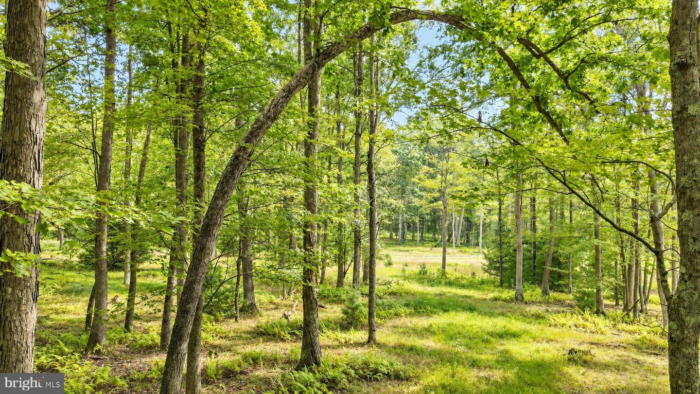 Lot 12 Poland Heights Ln Property Photo 4