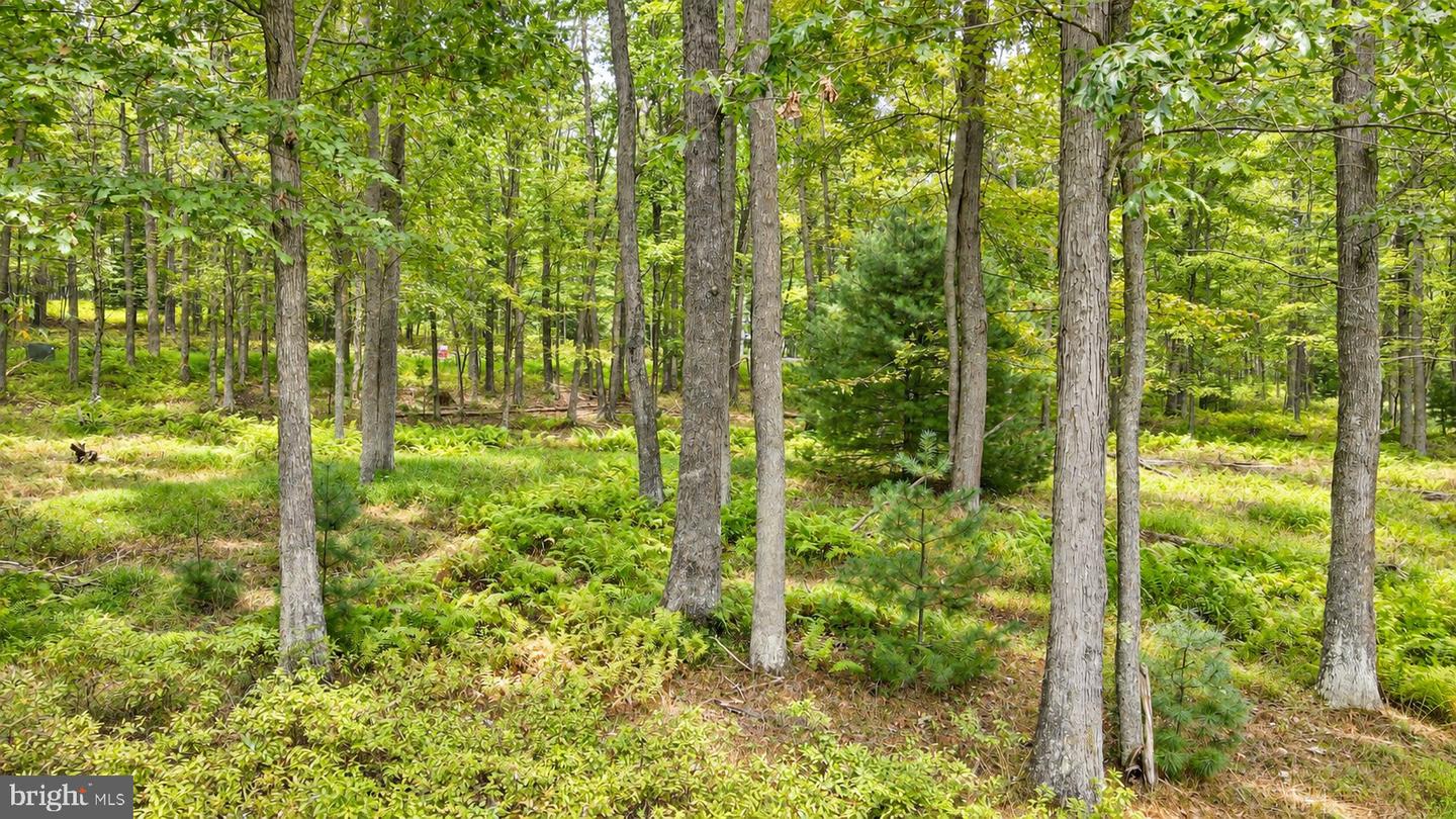 Lot 12 Poland Heights Ln Property Photo 5