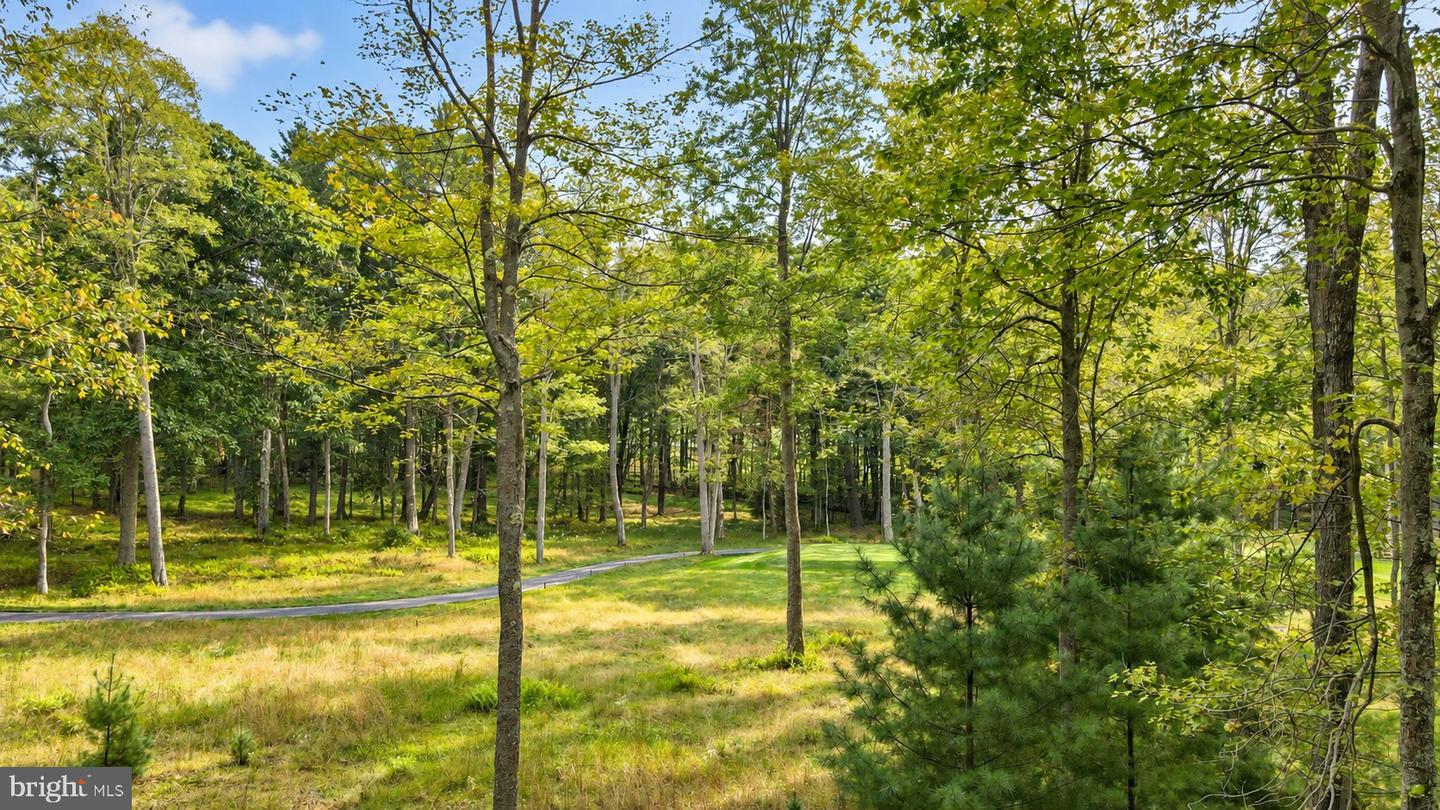 Lot 12 Poland Heights Ln Property Photo 6