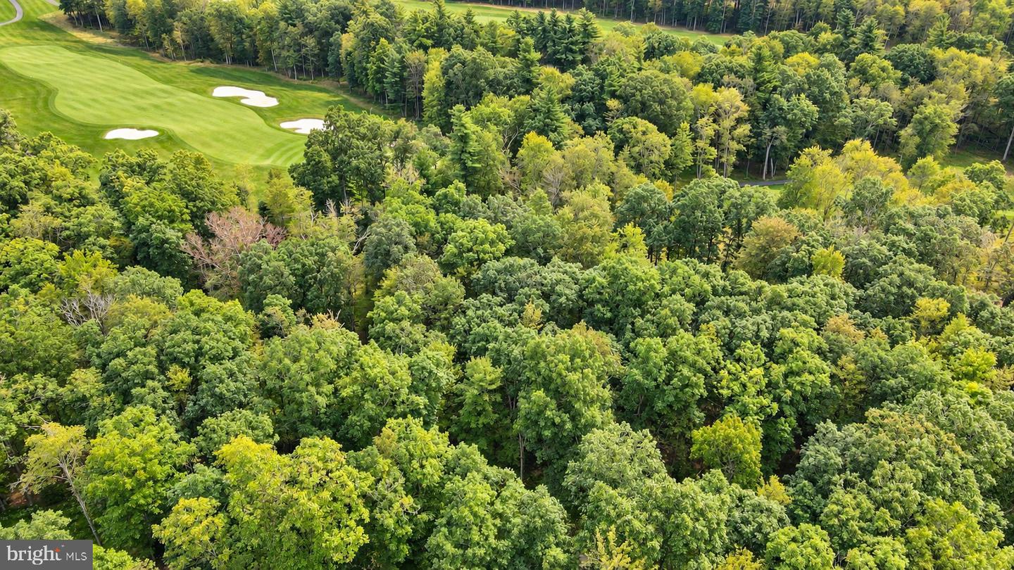 Lot 12 Poland Heights Ln Property Photo 8