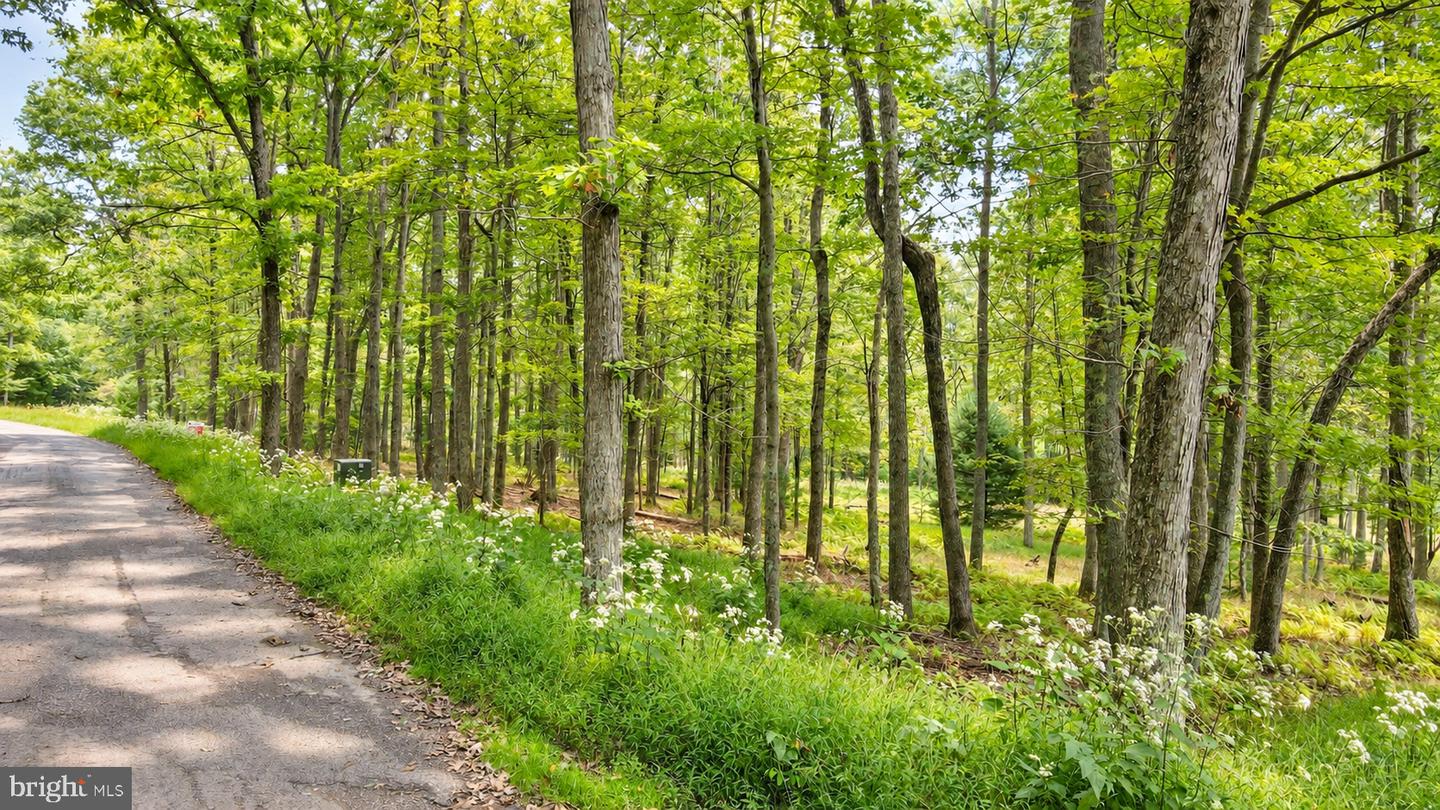 Lot 12 Poland Heights Ln Property Photo 9