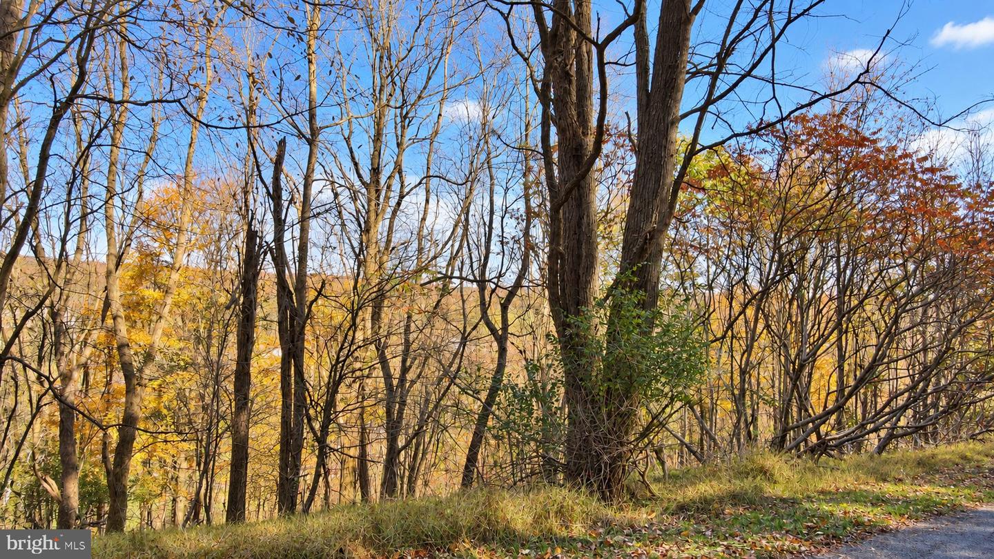 Lot 31 Sunset Ridge Drive Property Photo 29
