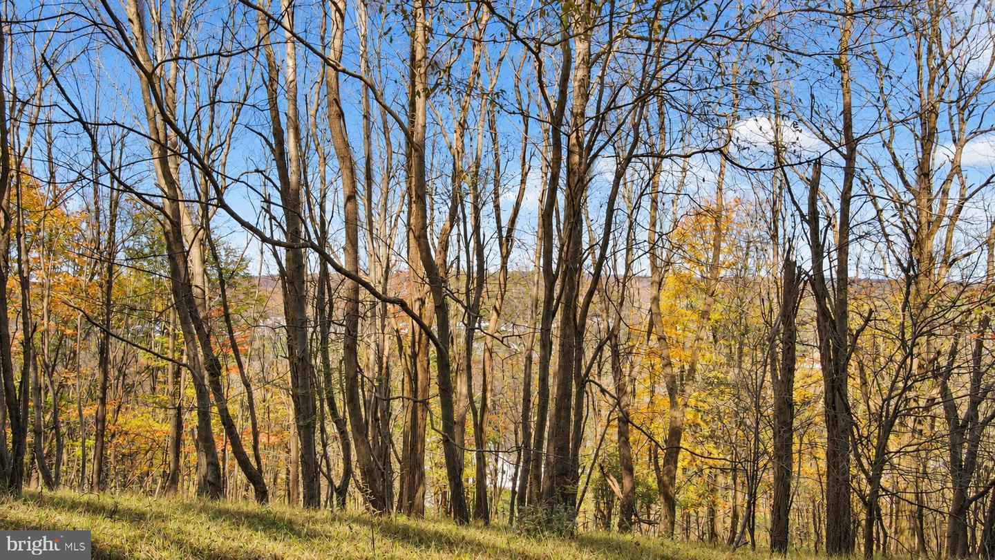 Lot 31 Sunset Ridge Drive Property Photo 30