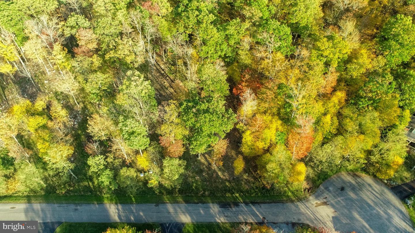 Lot 97 Birdsong Way Property Photo 6