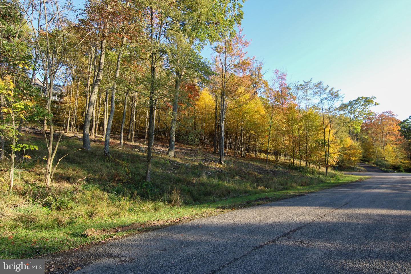 Lot 97 Birdsong Way Property Photo 7