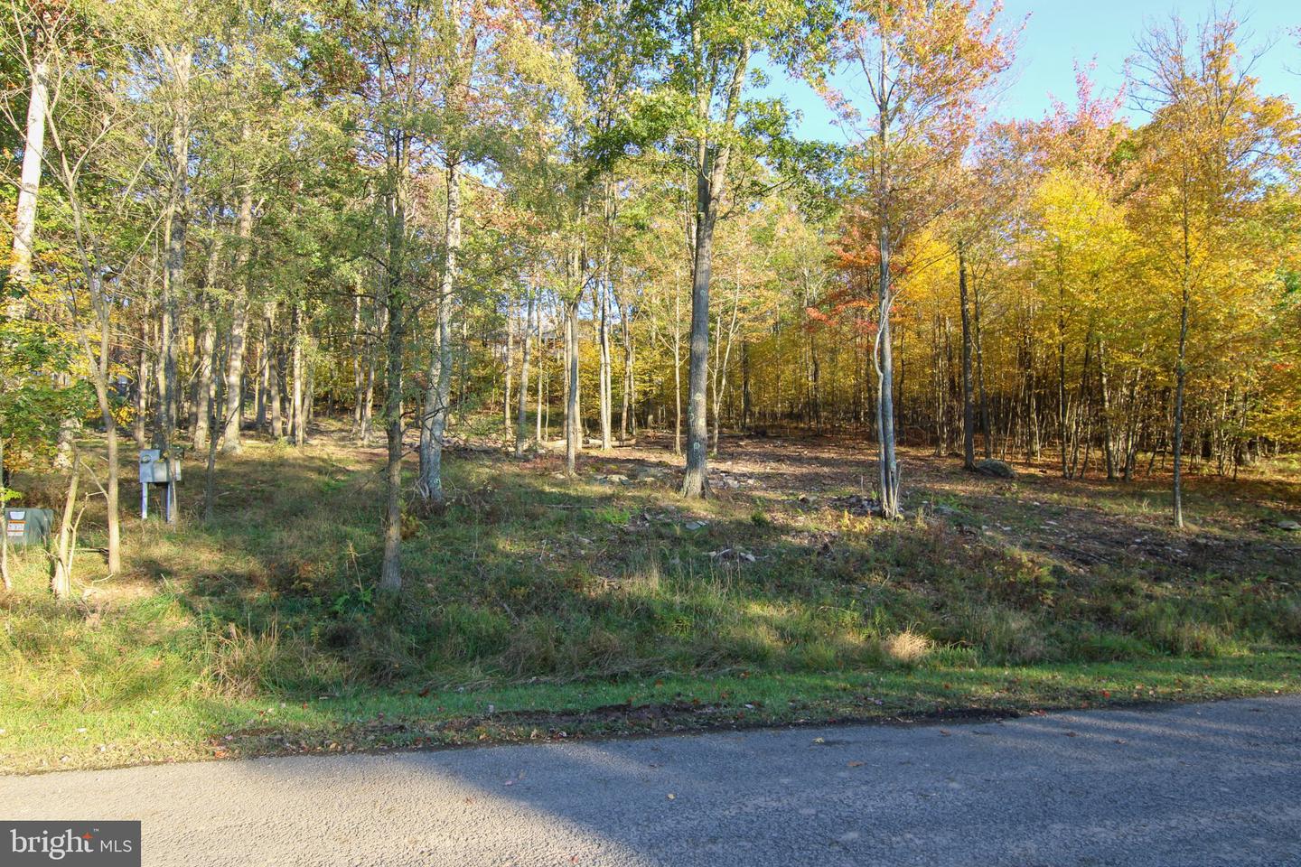 Lot 97 Birdsong Way Property Photo 8