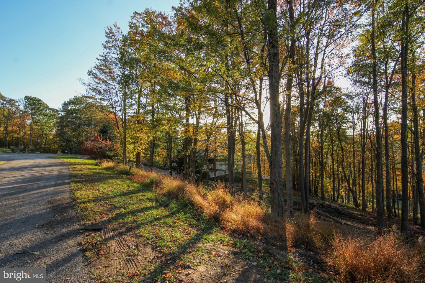 LOT 86 FALCON WAY Property Photo 1