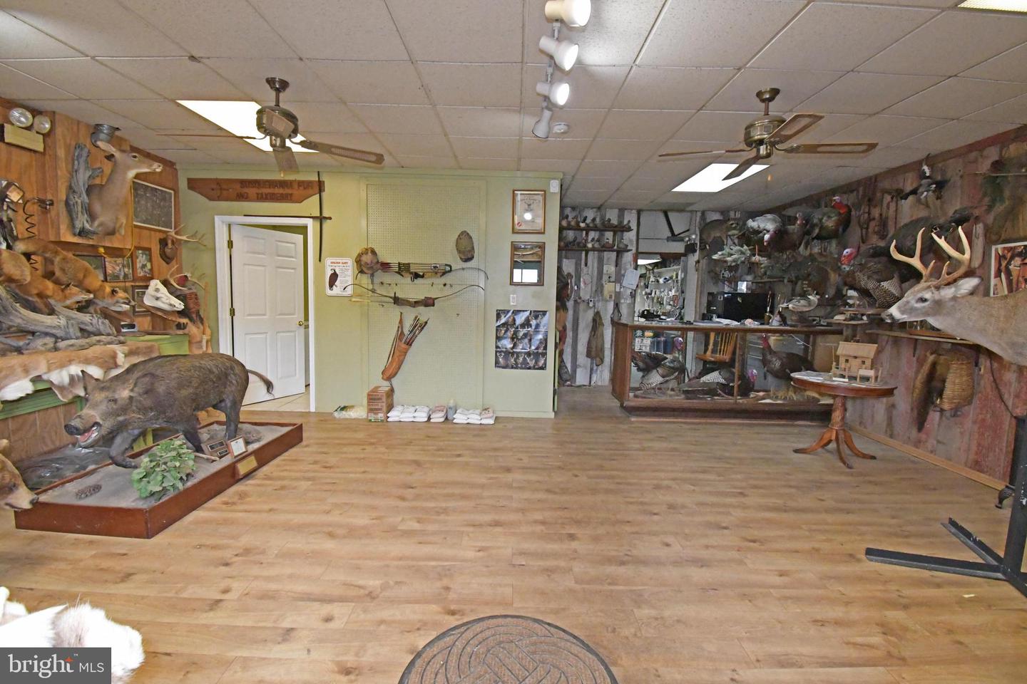 1727 Pulaski Hwy Property Photo 3