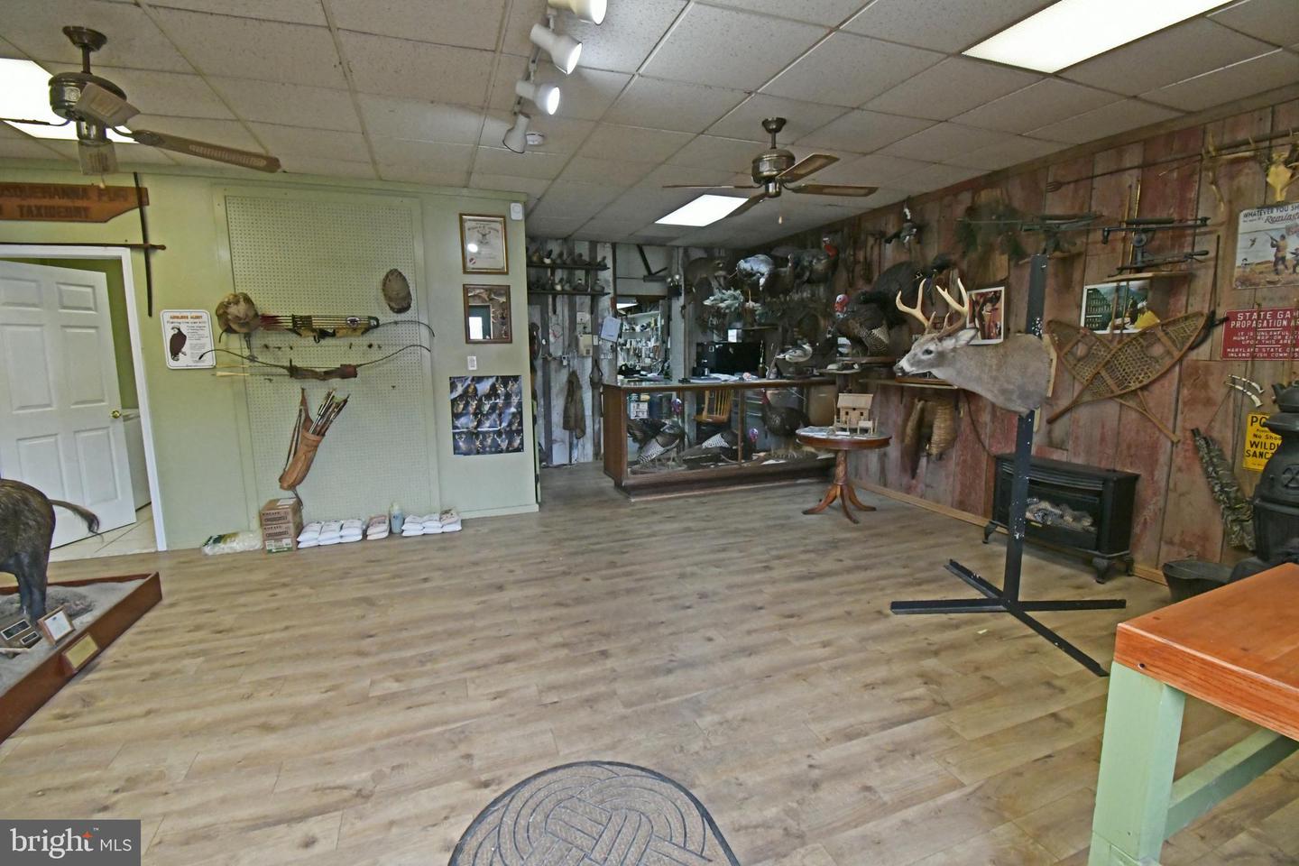 1727 Pulaski Hwy Property Photo 4