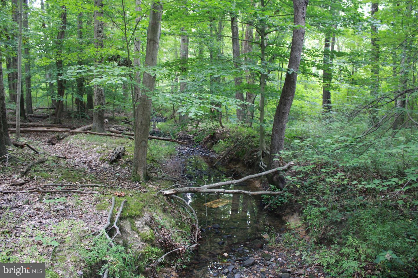3812 Conowingo Rd Property Photo