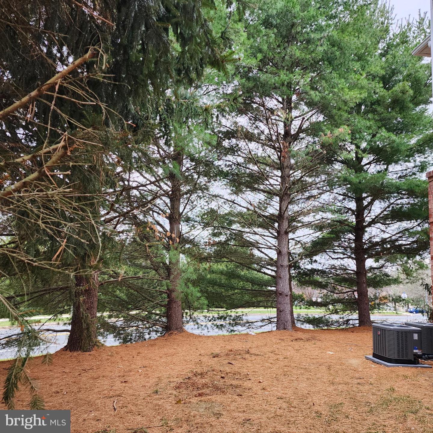 1311-c Sheridan Pl #105 Property Photo 19