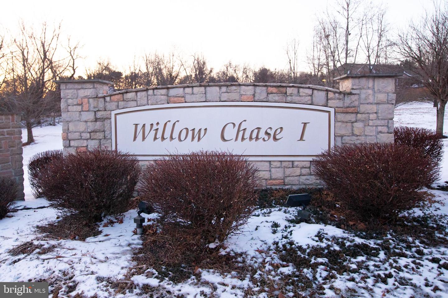 1321 Willow Chase Dr Property Photo 47