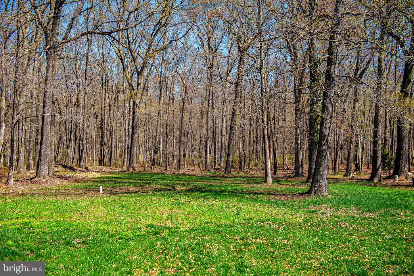 2610 Franklinville Rd Property Photo 46
