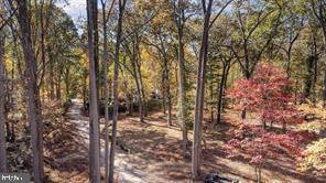 1709-d Laurel Brook Rd Property Photo 2