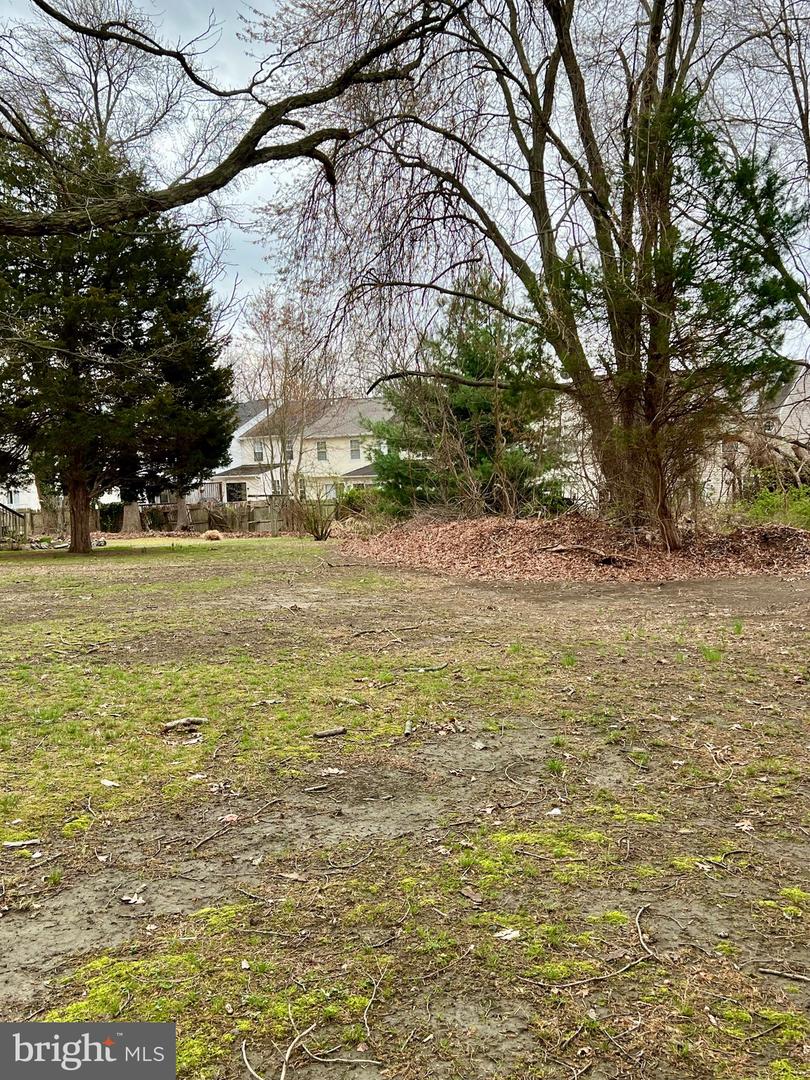 1330 Halls Rd Property Photo 3