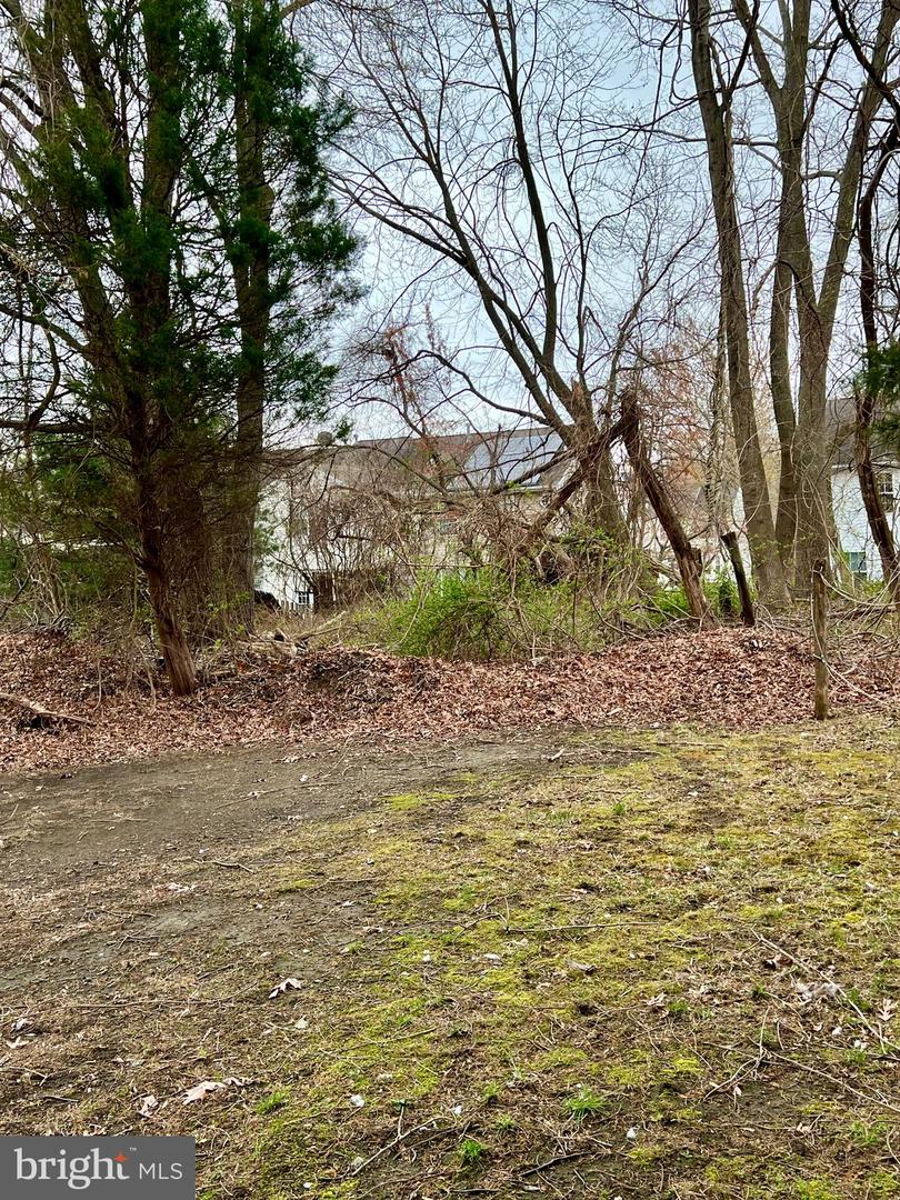 1330 Halls Rd Property Photo 8