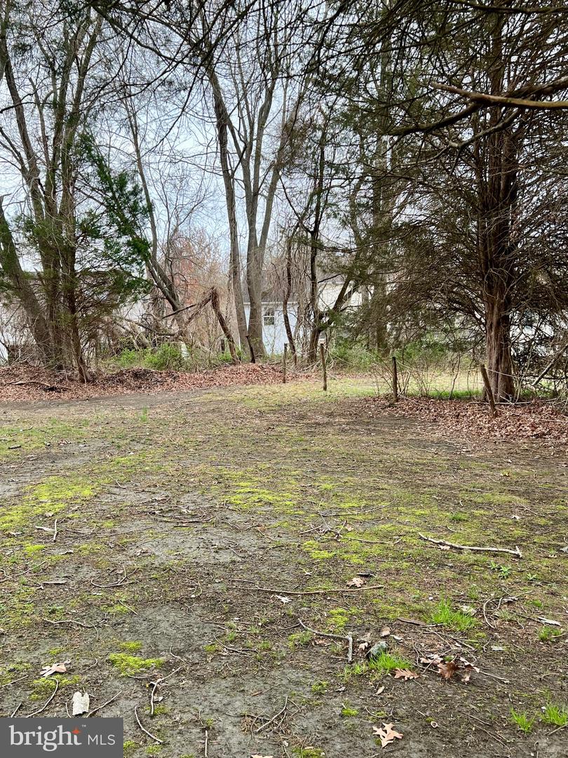 1330 Halls Rd Property Photo 12