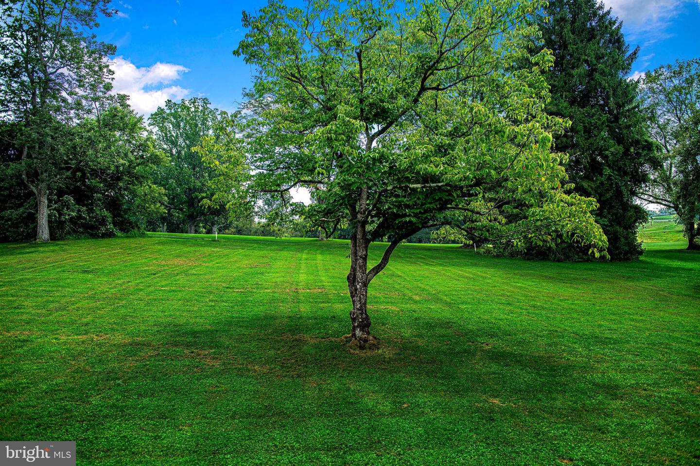1206 E Macphail Rd Property Photo 34