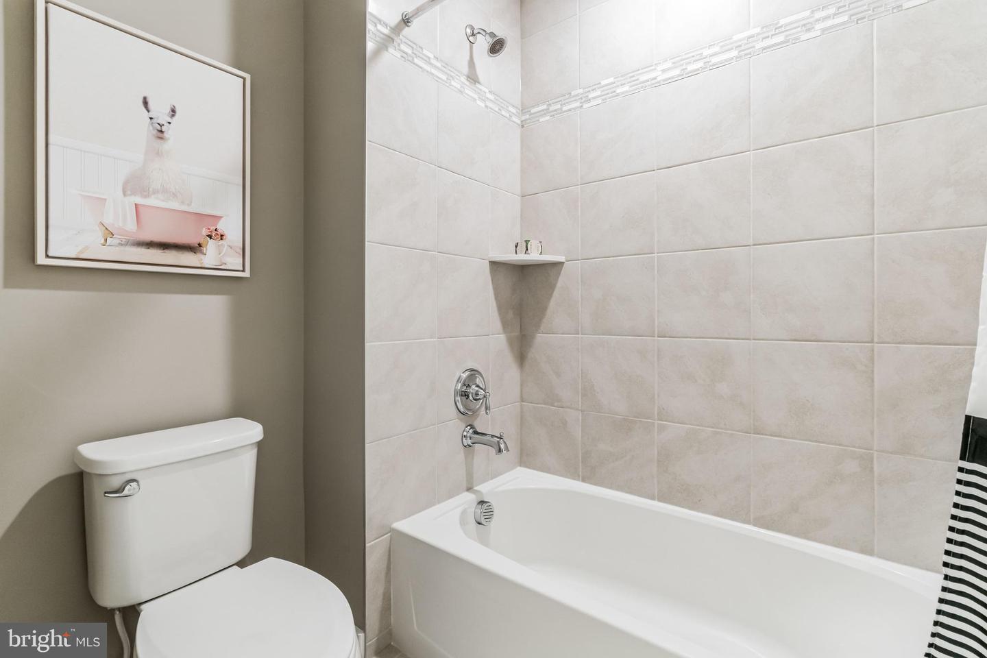 3637 Dexter Ct #158 Property Photo 6
