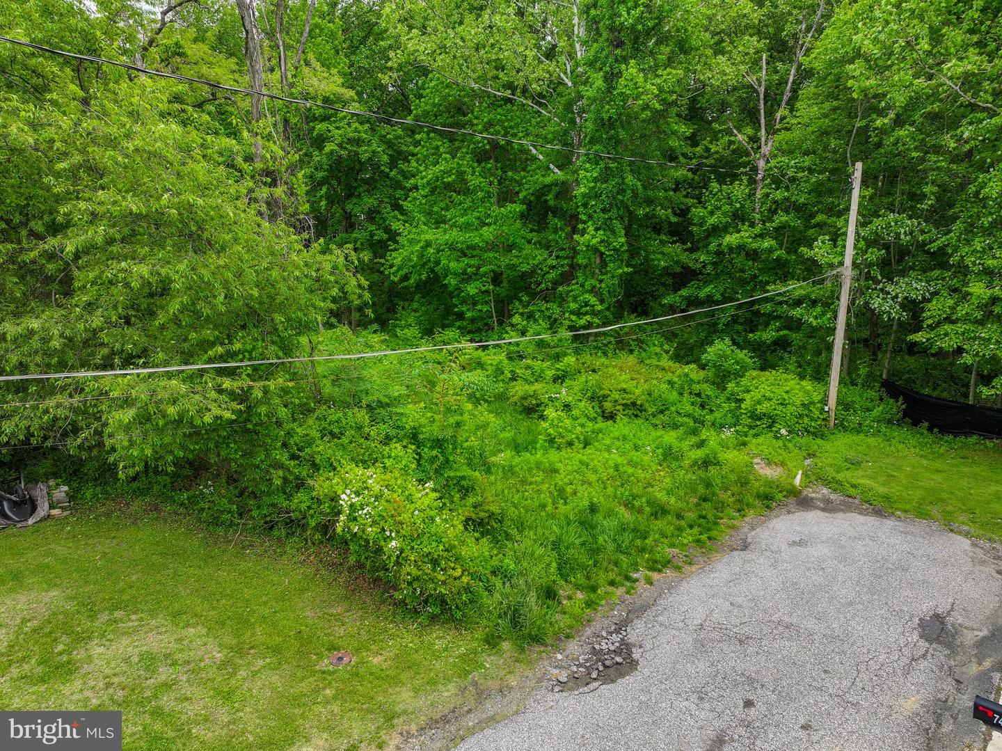 Evan Ave Property Photo 38