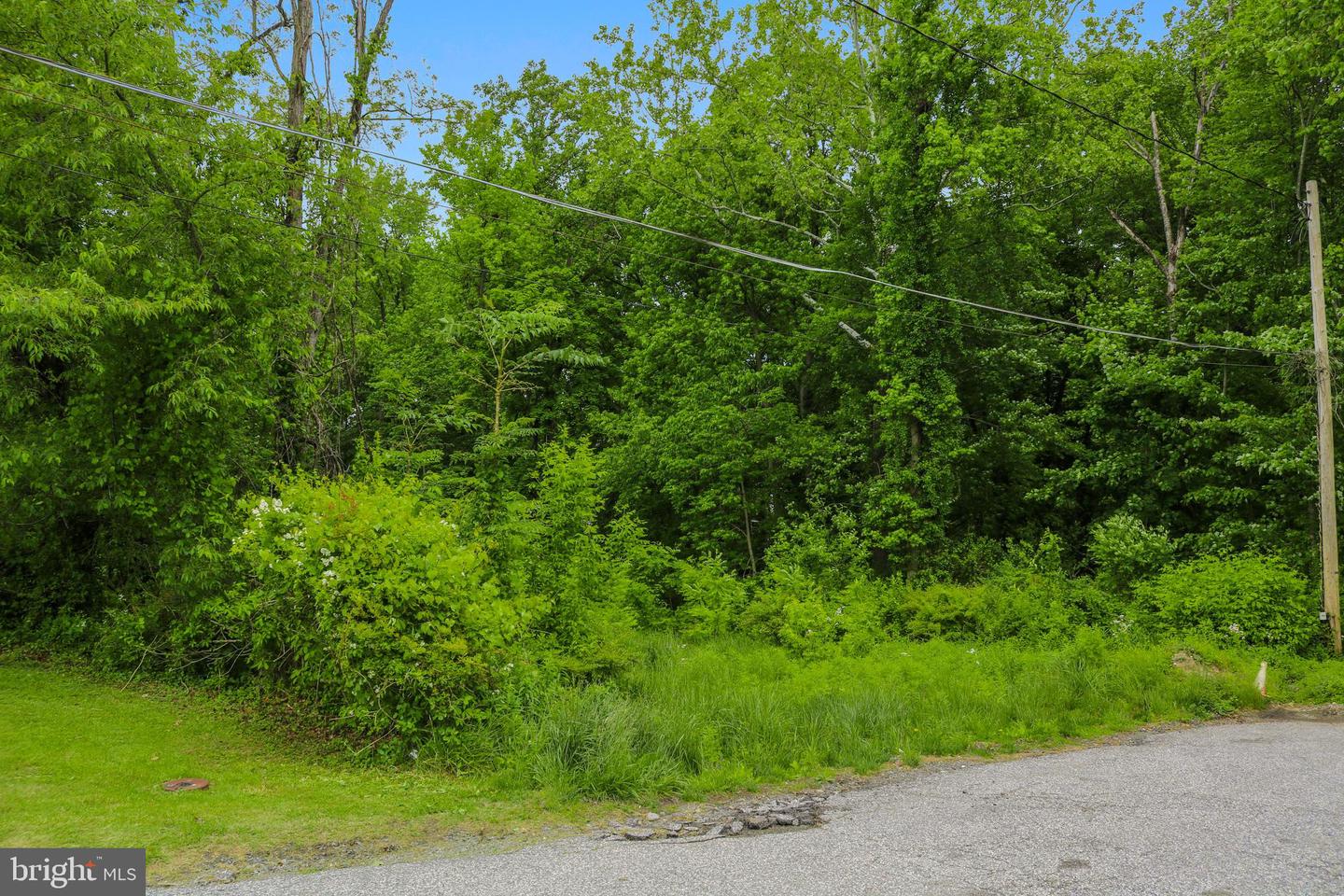 Evan Ave Property Photo 44