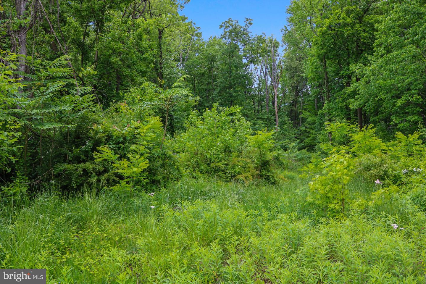 Evan Ave Property Photo 52