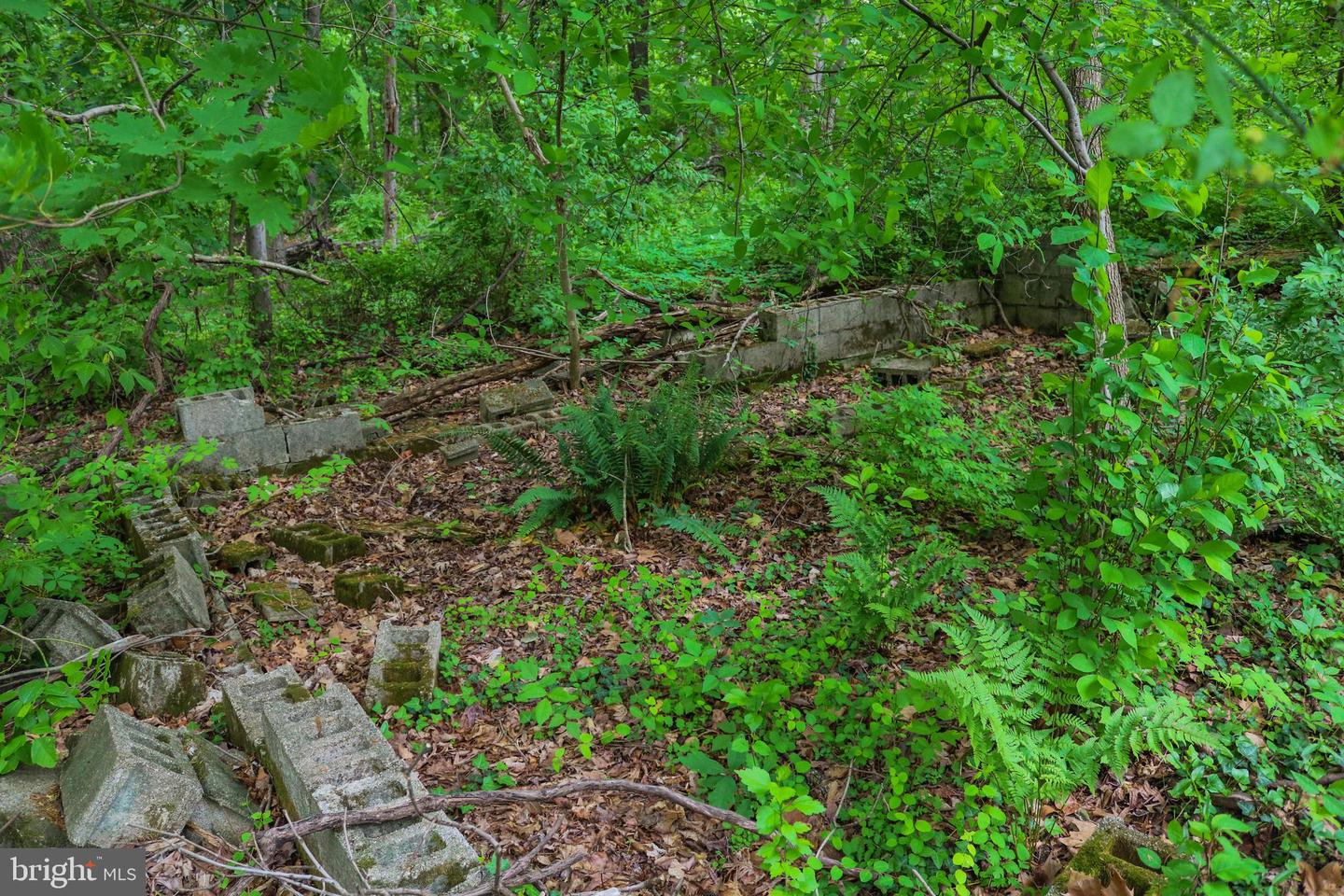 Evan Ave Property Photo 68