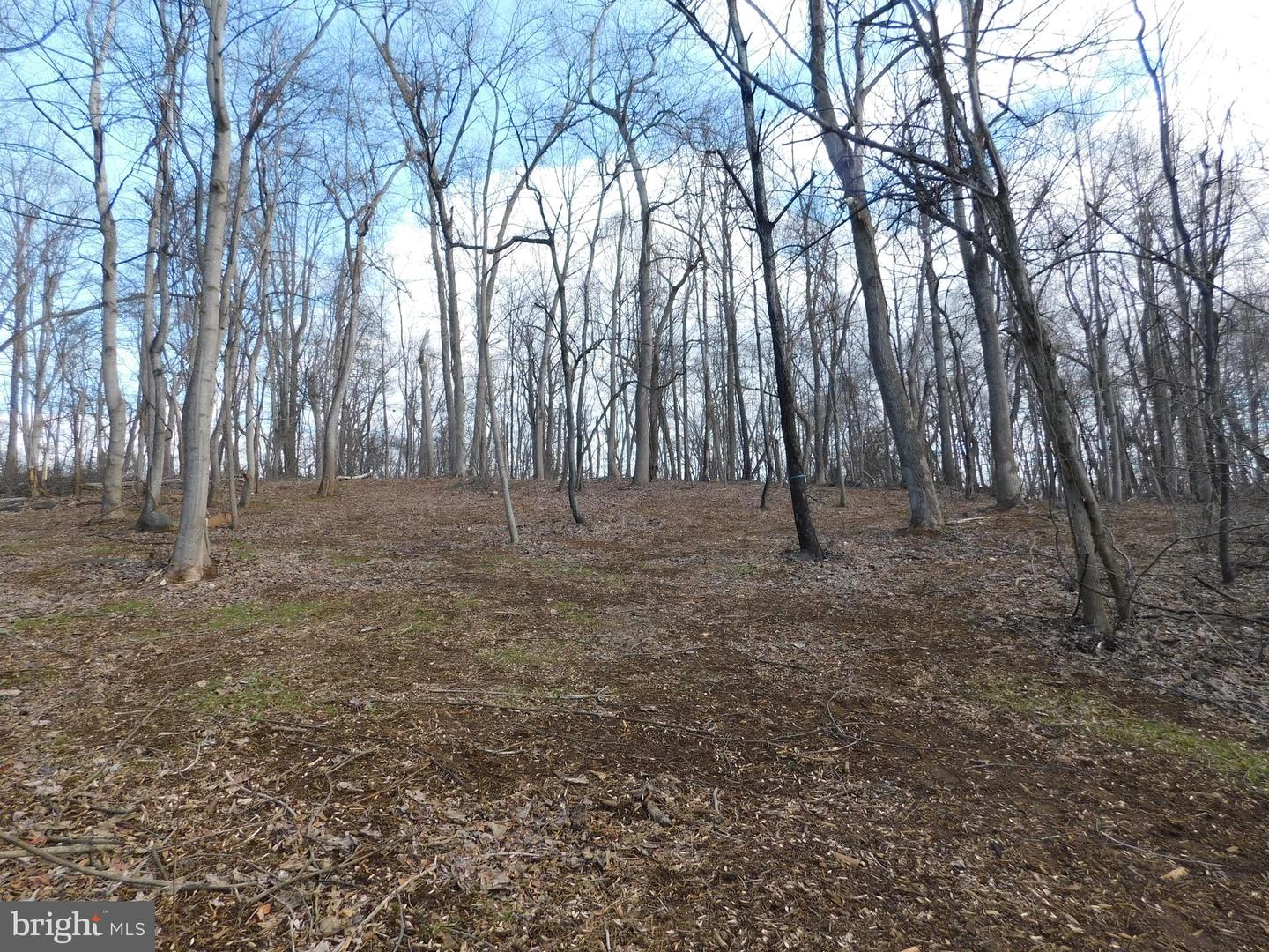 3909 River Rd Property Photo 5