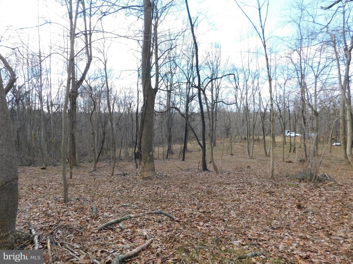 3909 River Rd Property Photo 6