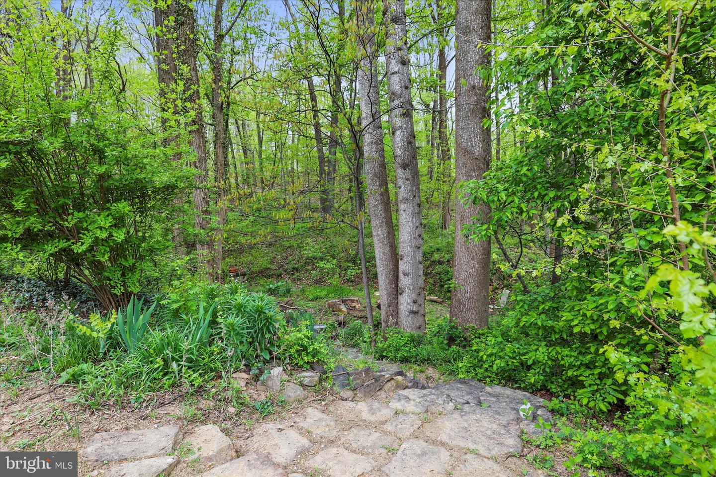 1426 Ridge Road Property Photo 51