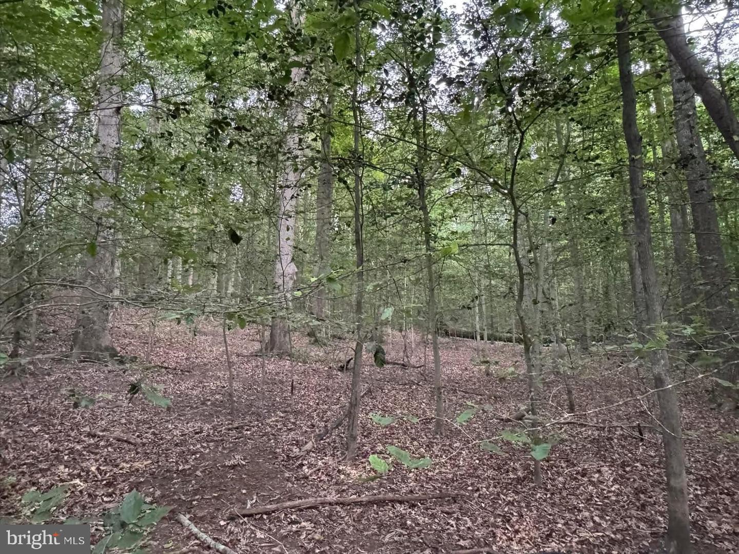 3515-b Clayton Rd Property Photo 9