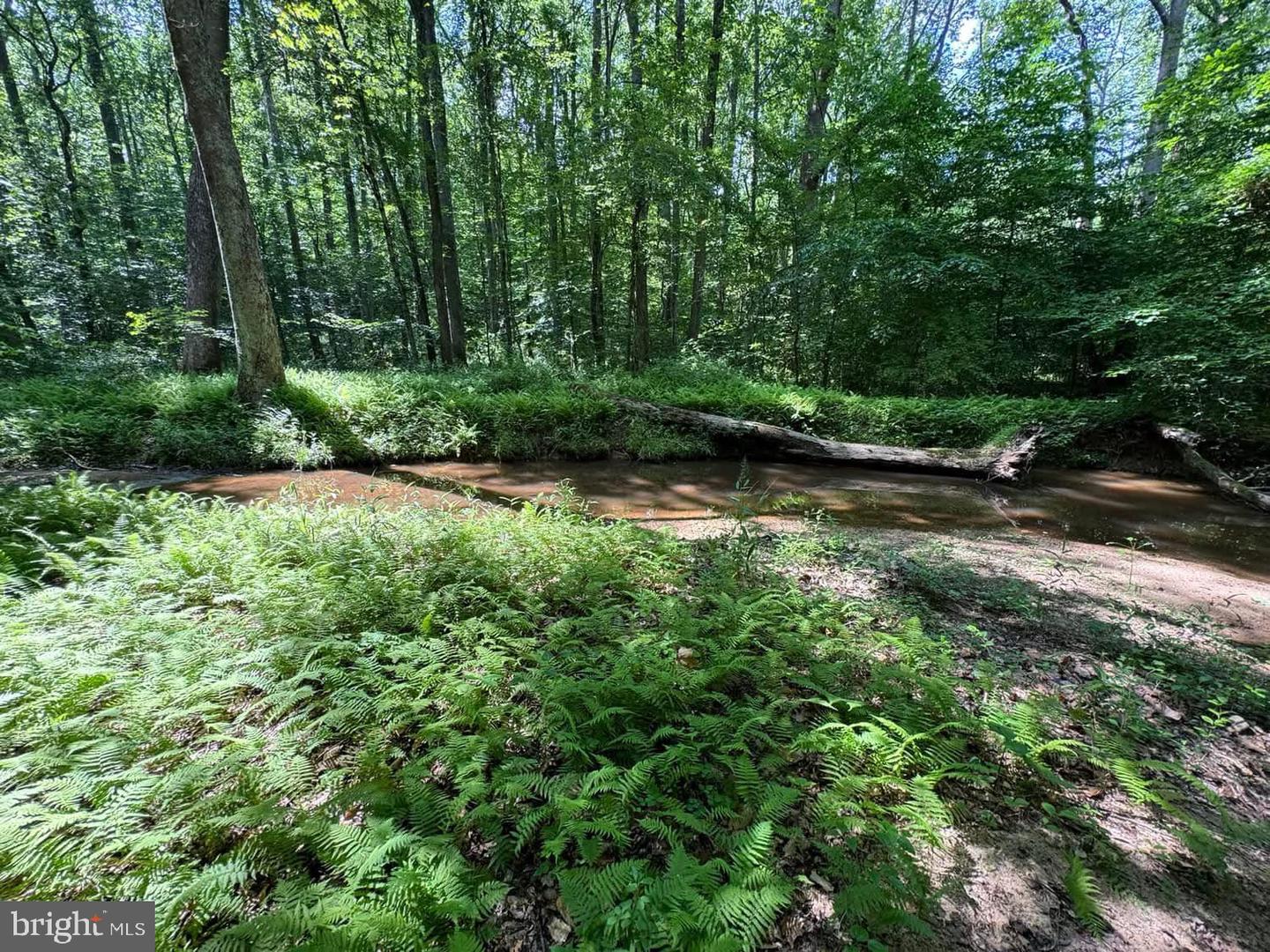 3515-b Clayton Rd Property Photo 12
