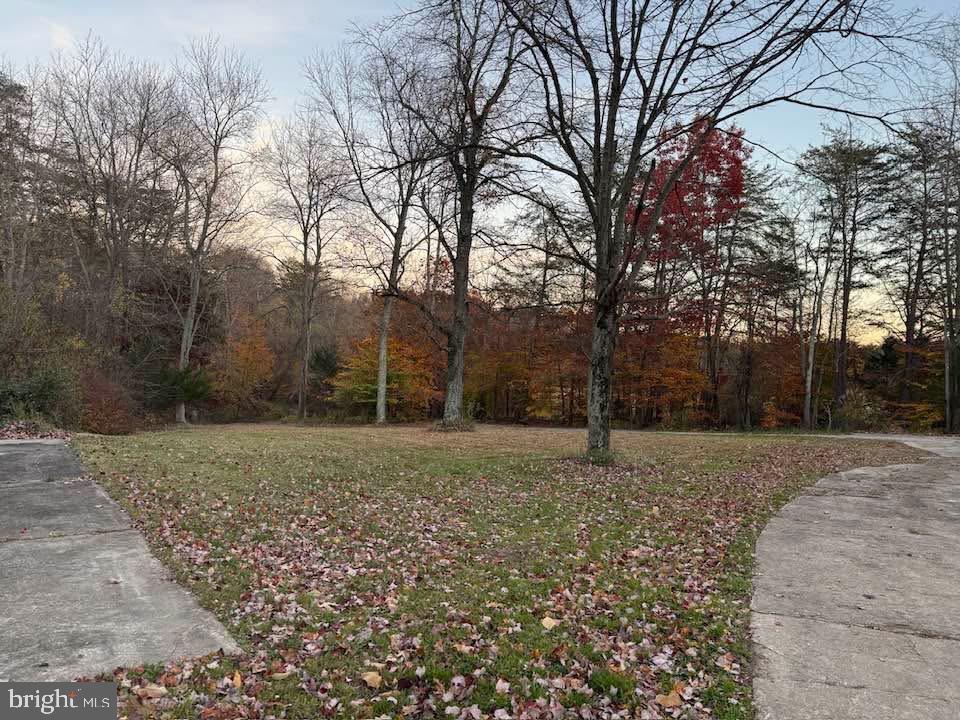 3515-b Clayton Rd Property Photo 21