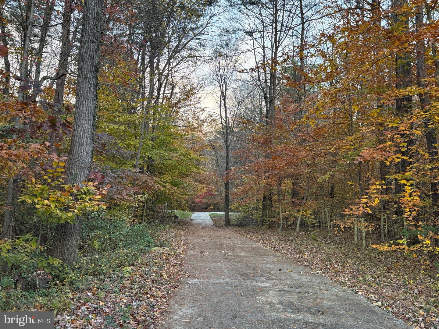 3515-b Clayton Rd Property Photo 27