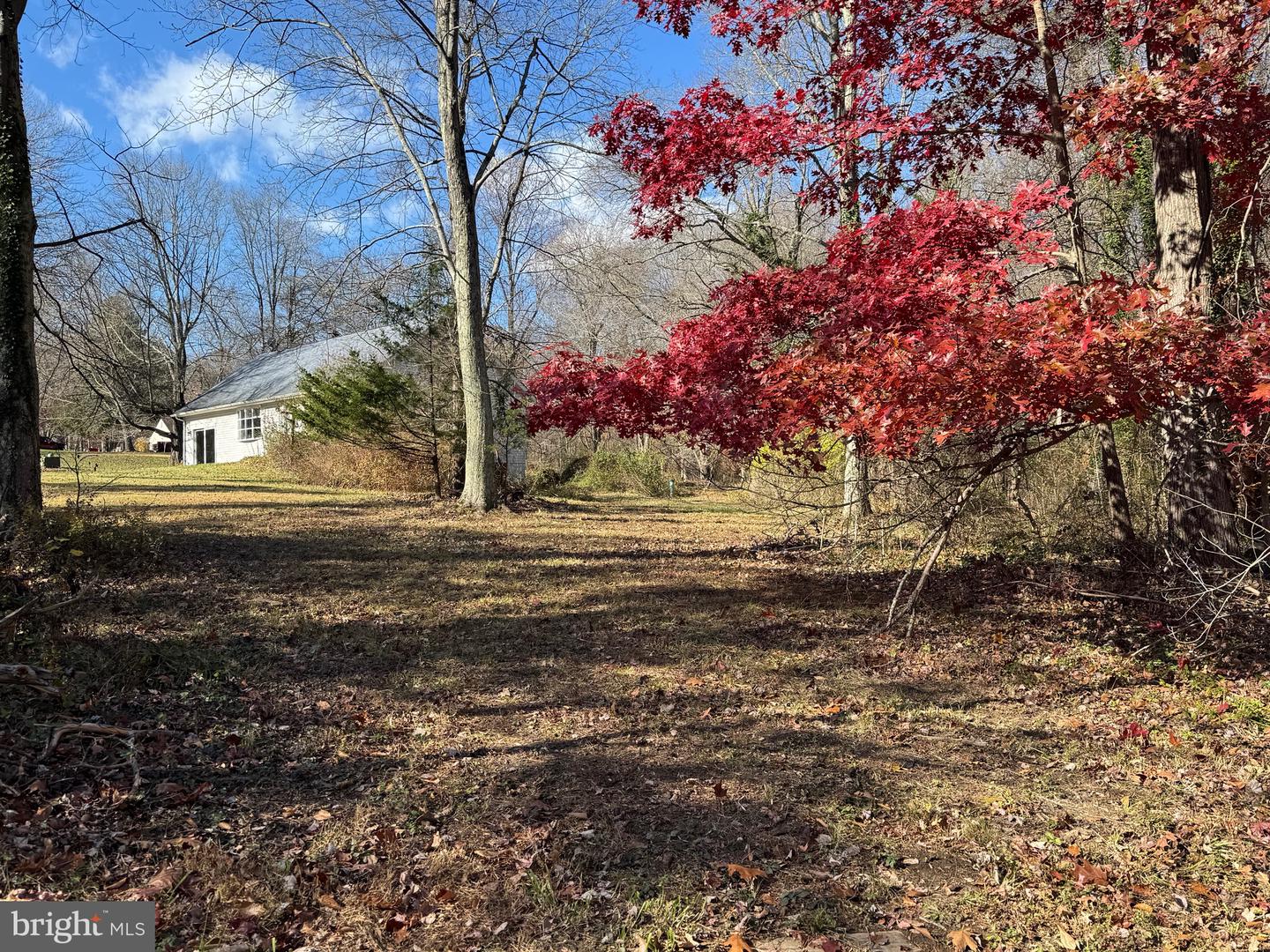 3515-b Clayton Rd Property Photo 33
