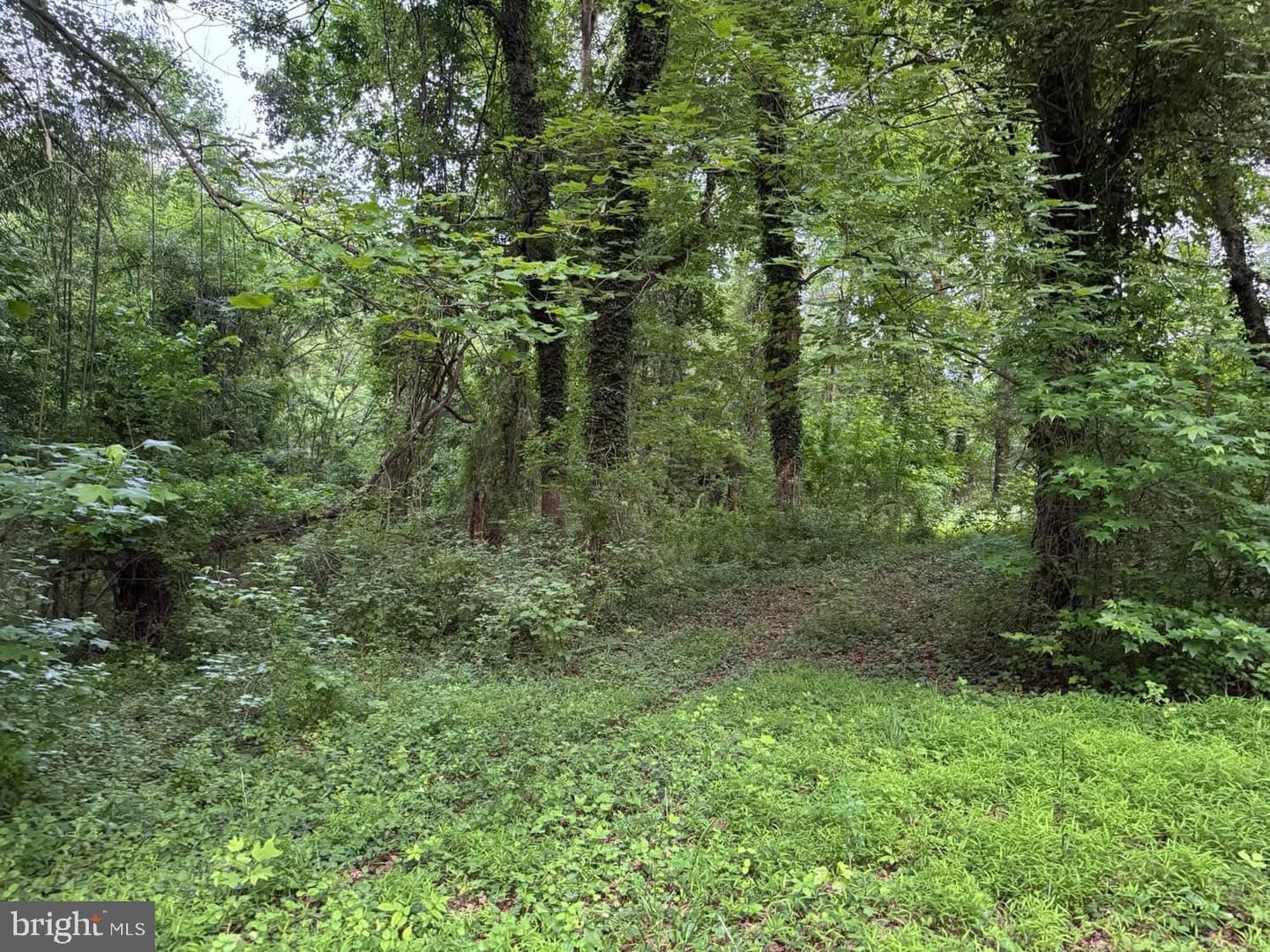 3515-b Clayton Rd Property Photo 11