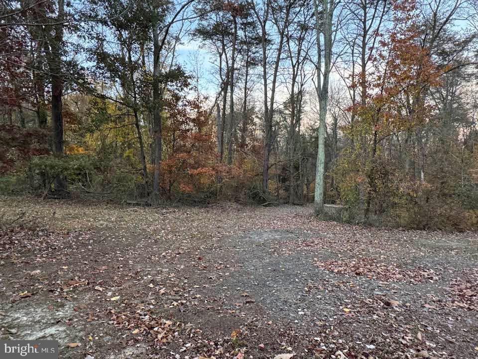 3515-b Clayton Rd Property Photo 16