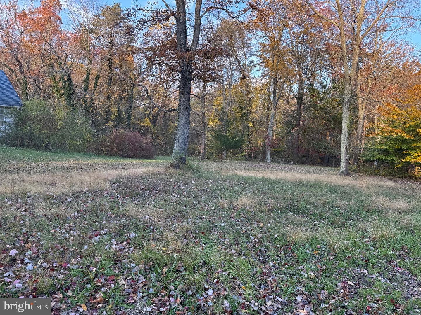 3515-b Clayton Rd Property Photo 30
