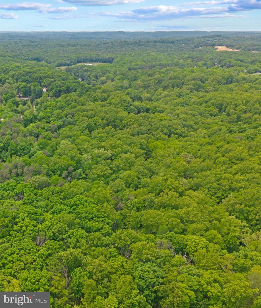 3515-b Clayton Rd Property Photo 39