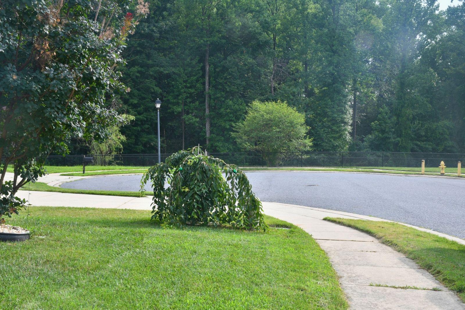 4407 Antrim Ct Property Photo 61